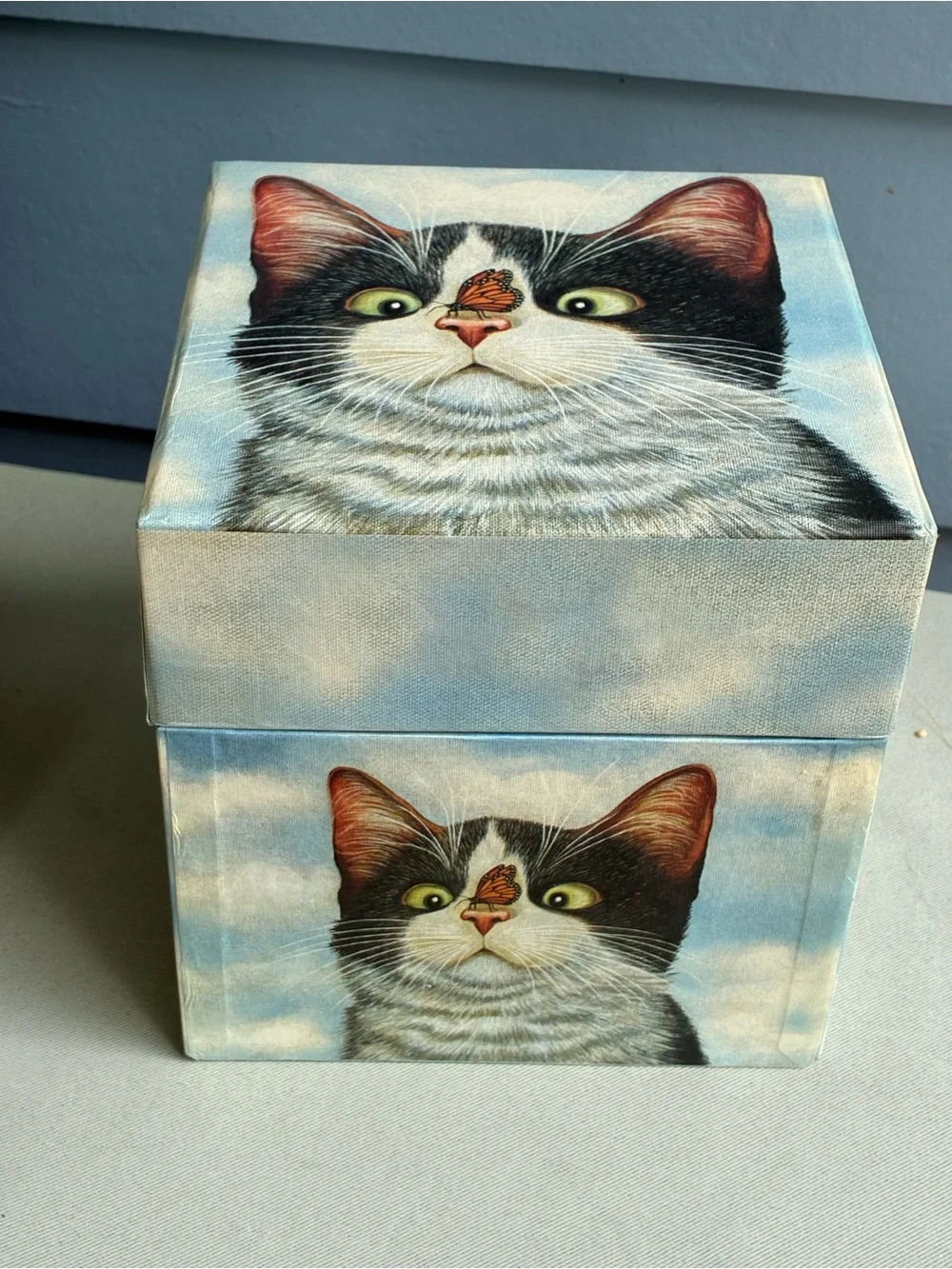 🐾 Set of 3 Vintage Bob’s Boxes – Tuxedo Cat & Ladybug Nesting Boxes
